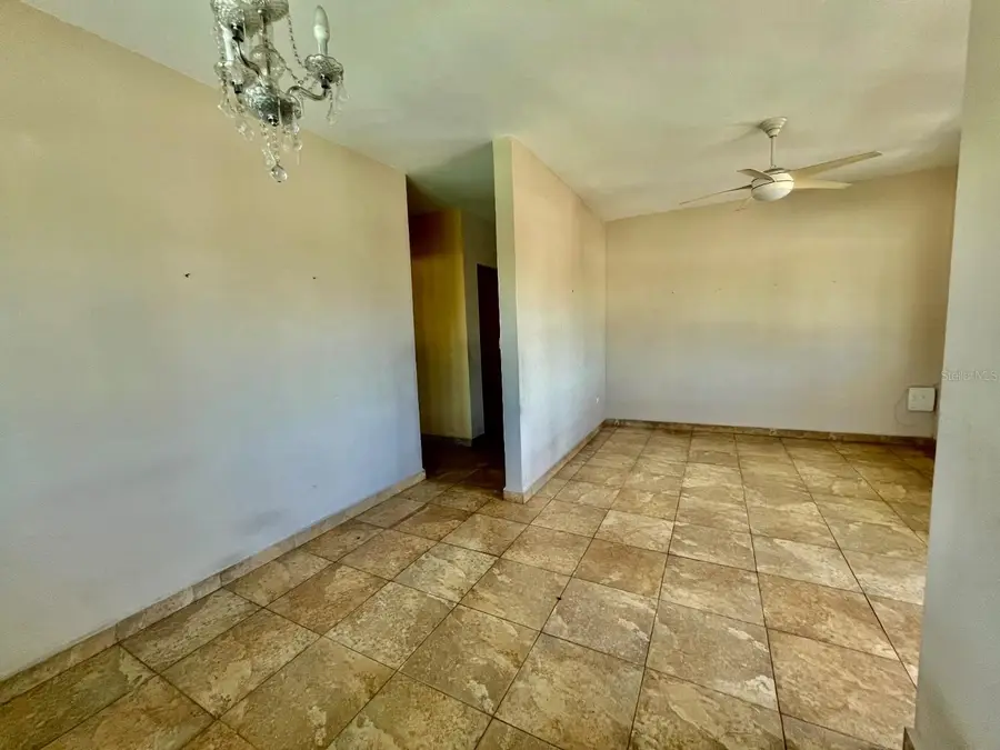 157 Don Chemary St. Bo Pueblo, Moca, PR 00676 - #3