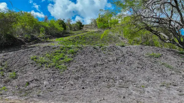 121 Road 121 #SOLAR 2, SABANA GRANDE, PR 00637
