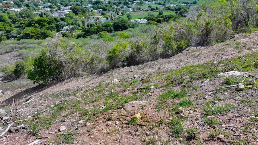 121 Road 121 #SOLAR 2, Sabana Grande, PR 00637 - #3