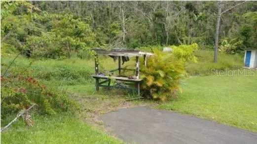 763 6.0, Cayey, PR 00736 - #2
