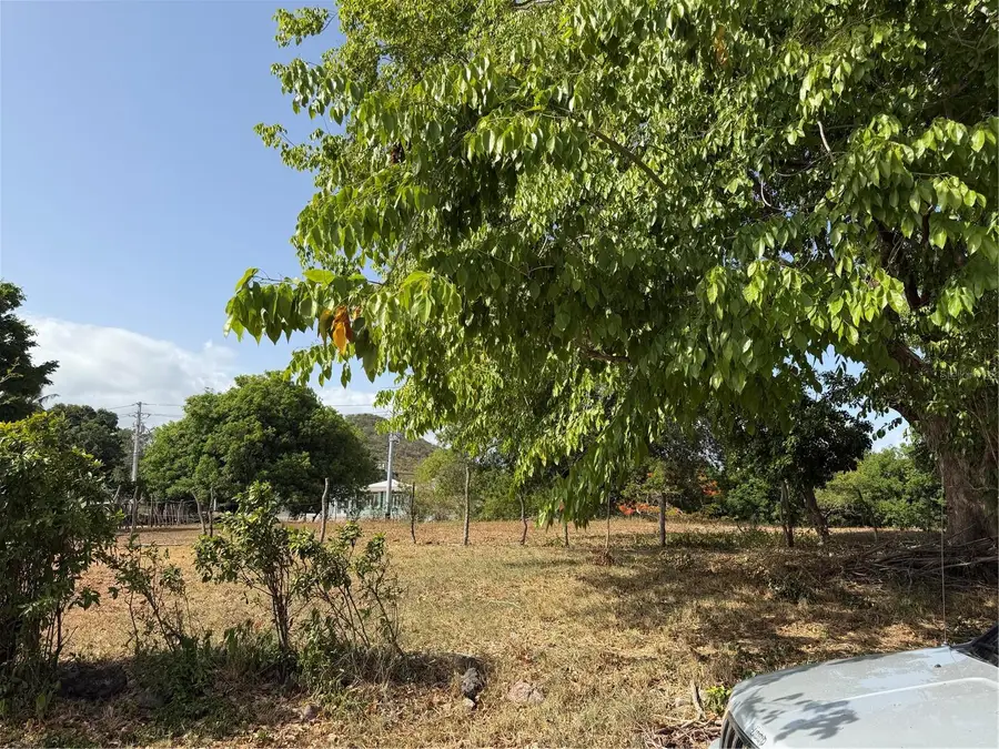 Bo Machuchal Pr- 121 #KM 5.0, Sabana Grande, PR 00637 - #3