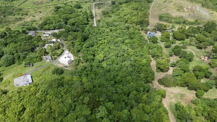 Bo. Buena Vista, Humacao, PR 00791 - #3
