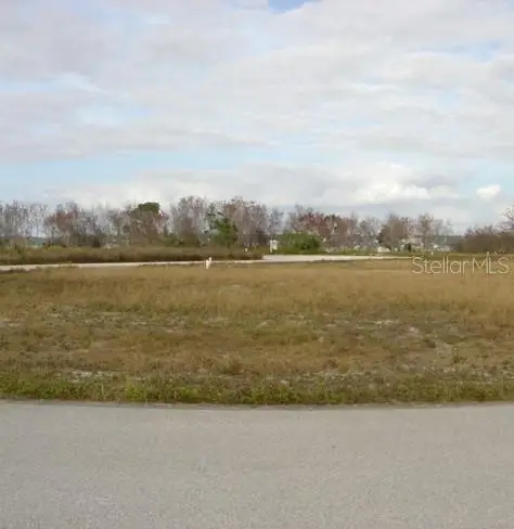 Sawgrass Run, TAVARES, FL 32778