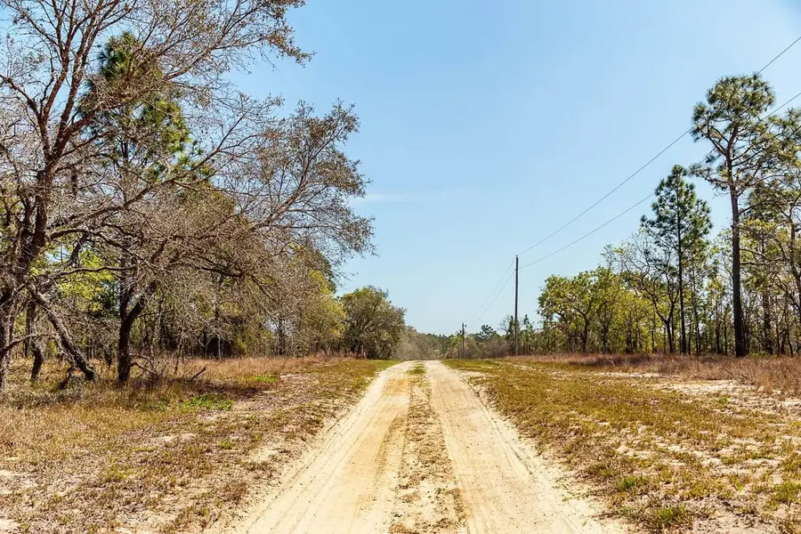 SE 98 Street, Dunnellon, FL 34431 - Image #3