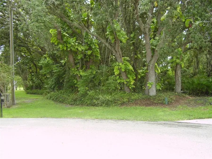 410 Anise Place, Poinciana, FL 34759 - #2