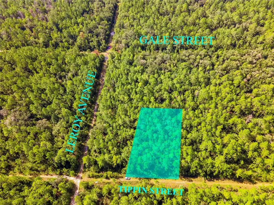 0 Tippin Street, Hastings, FL 32145 - Image #2