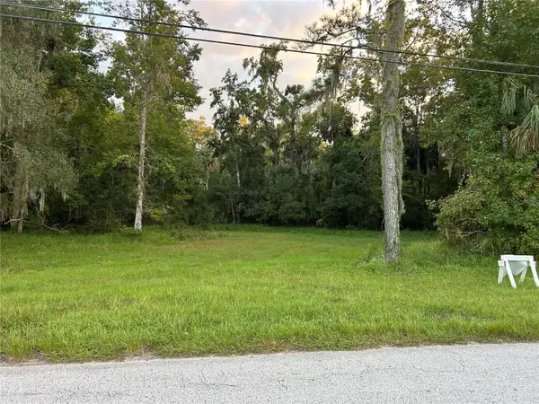24916 Butler Street, ASTOR, FL 32102