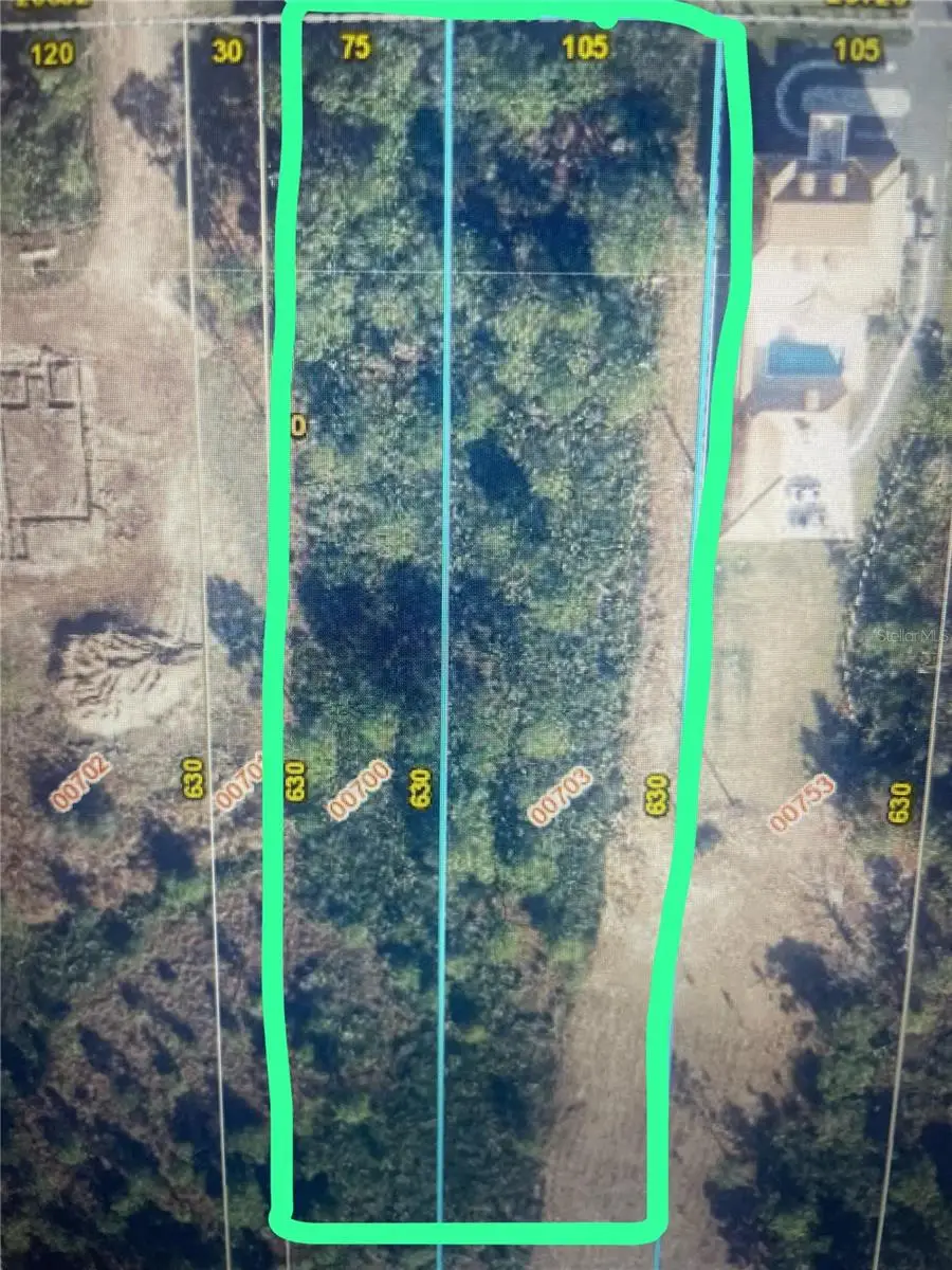 Sabal, Orlando, FL 32833 - Image #3