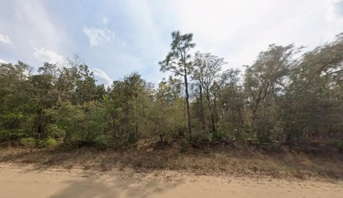 Osborne Street, Interlachen, FL 32148 - #1