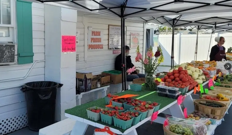 3351 Bahia Vista Street, Sarasota, FL 34239 - #3