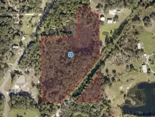 County Road 445a, Astor, FL 32102 - #1