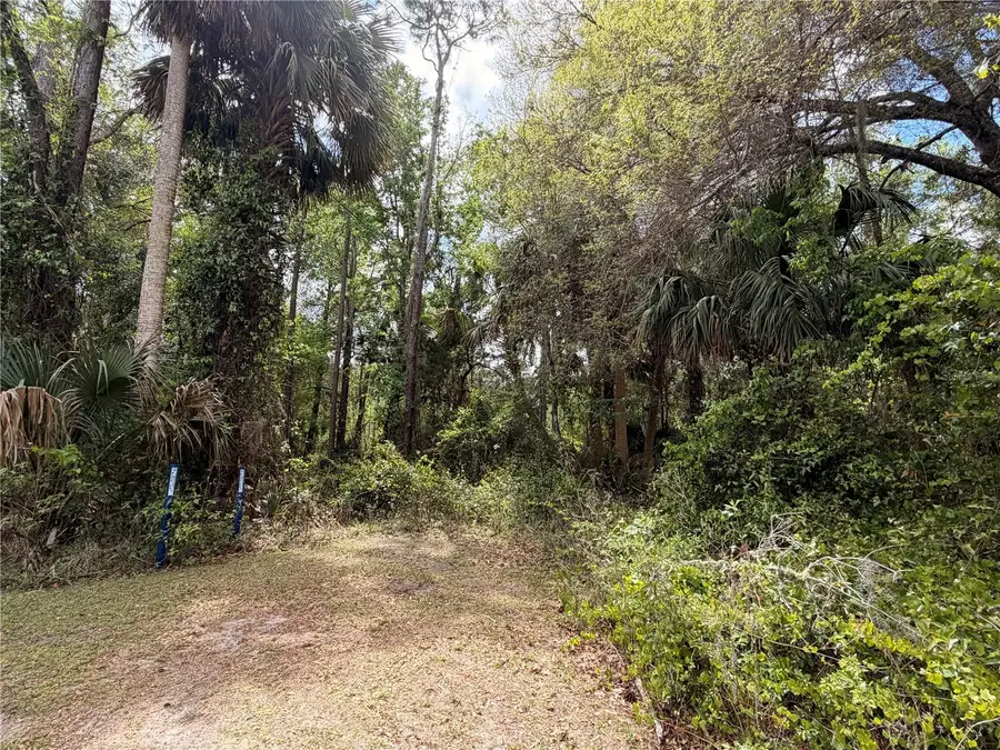 County Road 445a, Astor, FL 32102 - #3