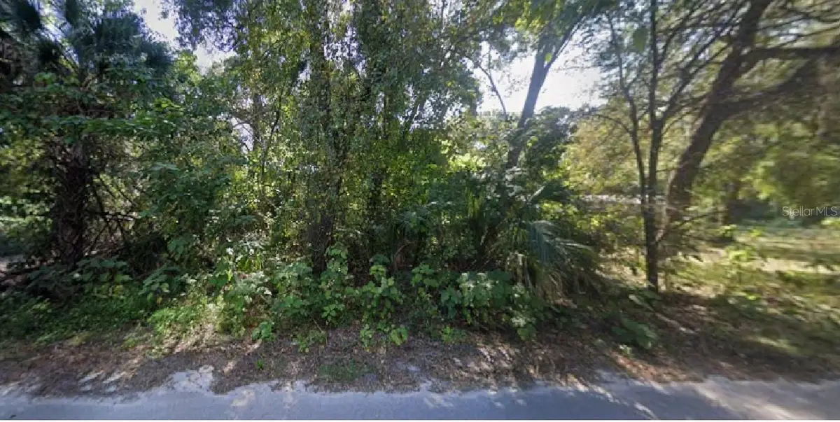 NE 167th Place, Citra, FL 32113 - #1