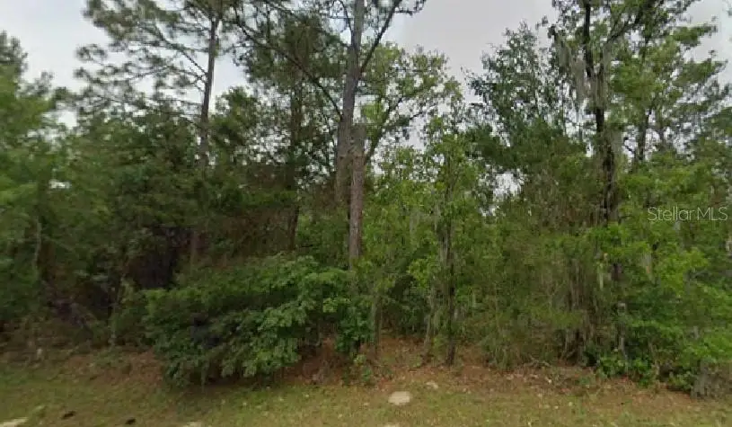 Marion Oaks Boulevard, Ocala, FL 34473 - #1