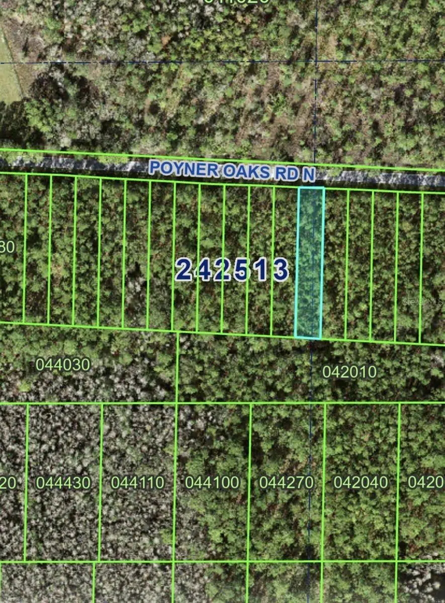 Poyner Oaks Road N, Polk City, FL 33868 - #1