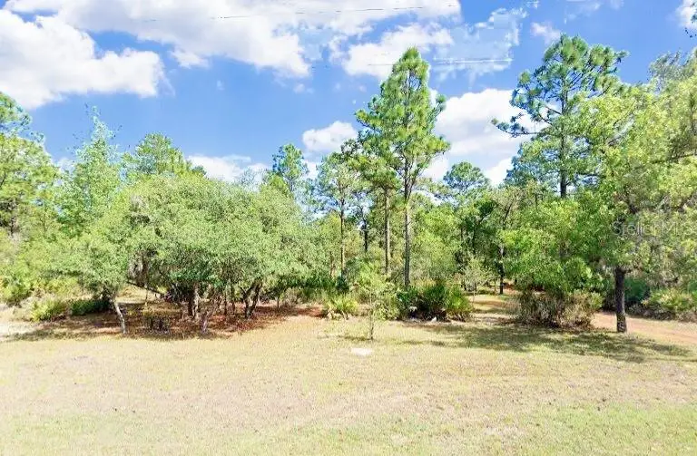 5719 W Stockholm Lane, Dunnellon, FL 34433 - #1