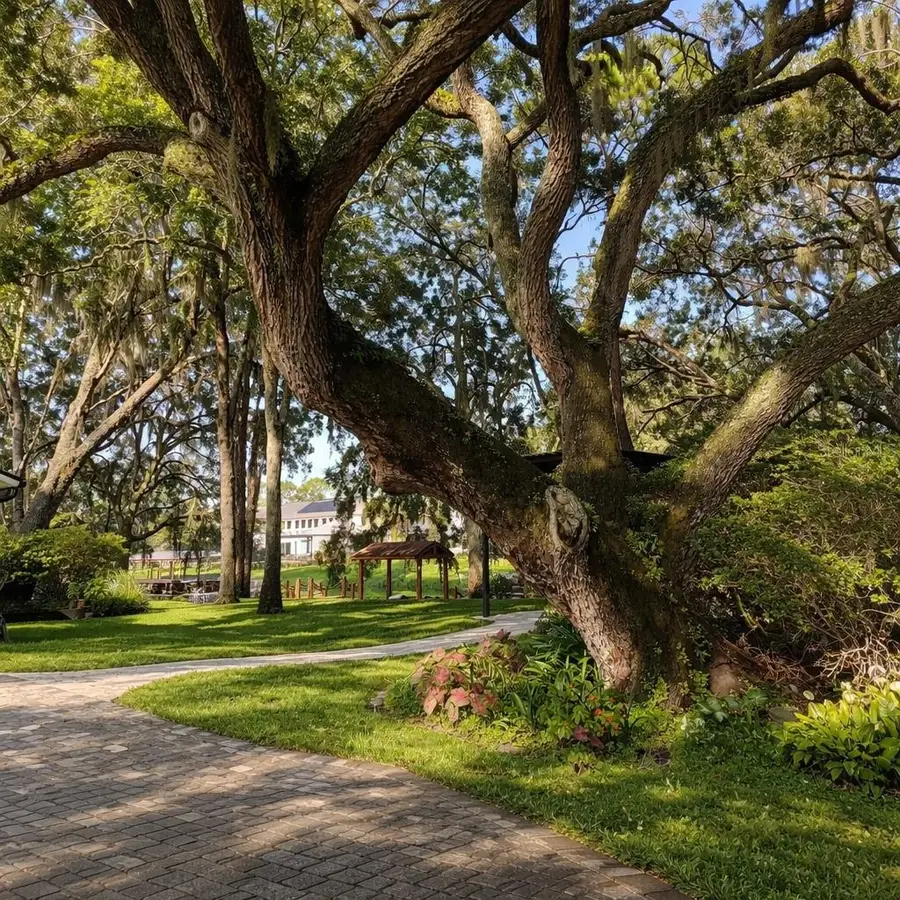 11102 Shady Oak Street, Orlando, FL 32832 - #3