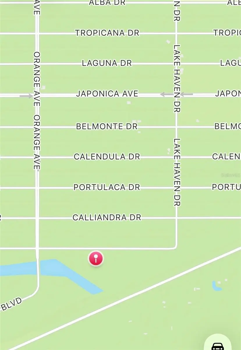 Althea Drive, Lake Wales, FL 33898 - #1