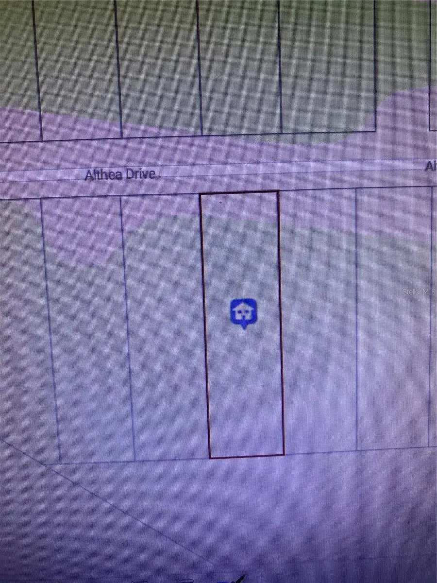 Althea Drive, Lake Wales, FL 33898 - #2