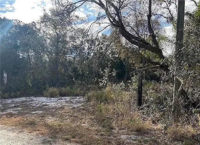 5025 Dewey Avenue, Sebring, FL 33875 - #1