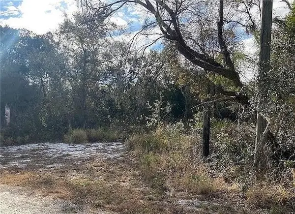 5025 Dewey Avenue, SEBRING, FL 33875