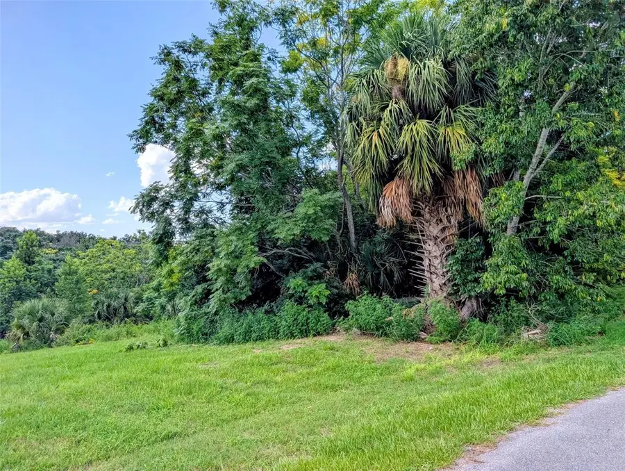 Green Briar Drive, Lady Lake, FL 32159 - #2