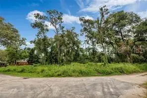 141 Holly Street, APOPKA, FL 32712