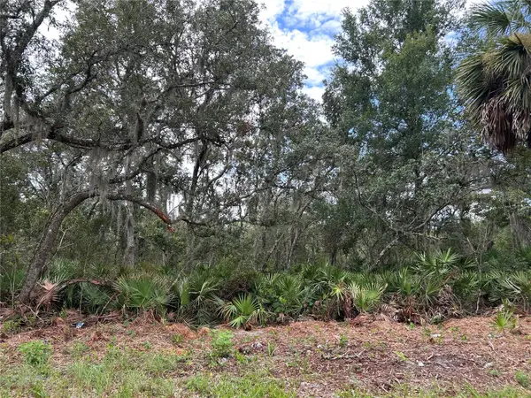 Peterson Road, PIERSON, FL 32180