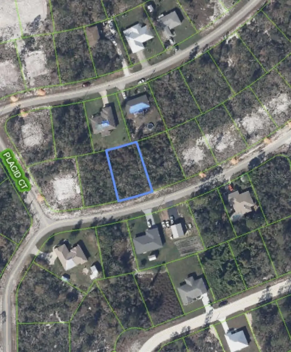 327 Hoover Avenue Ne, Lake Placid, FL 33852 - #1