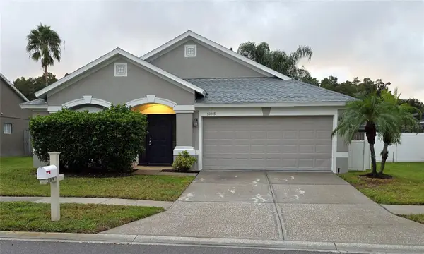 30809 Burleigh Drive, WESLEY CHAPEL, FL 33543