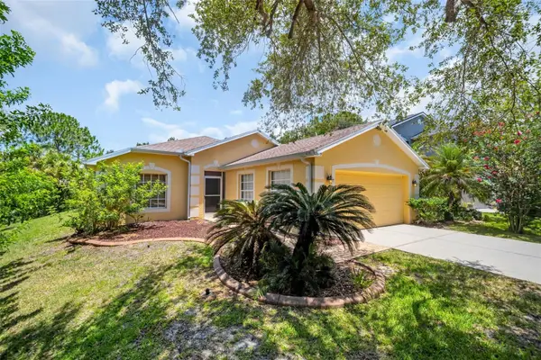 12415 Rustic View Court, TAMPA, FL 33635