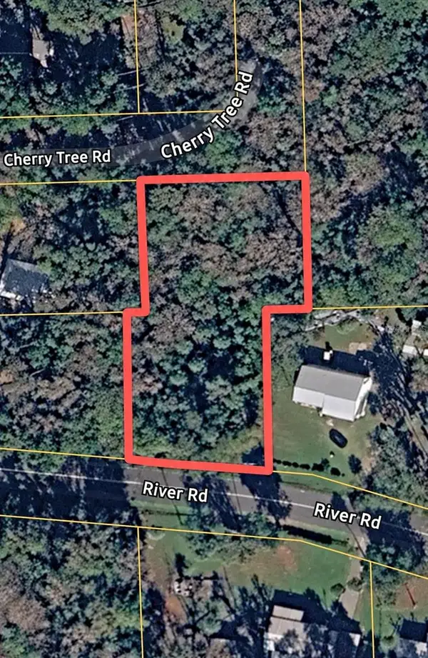 River Road, ASTOR, FL 32102