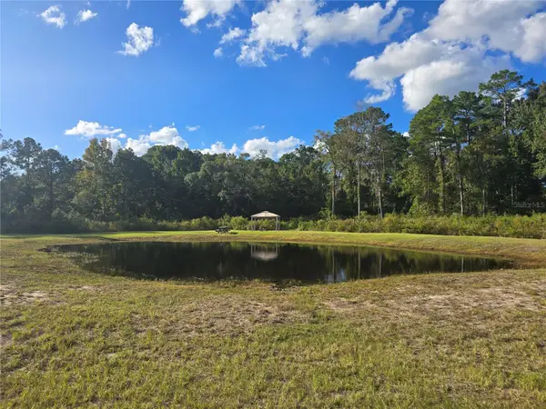 160 W Hagstrom Road, PIERSON, FL 32180