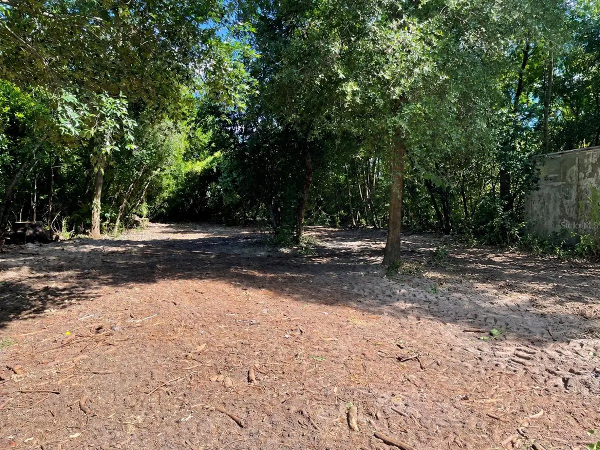 12718 Litewood Drive, Hudson, FL 34669 - #1
