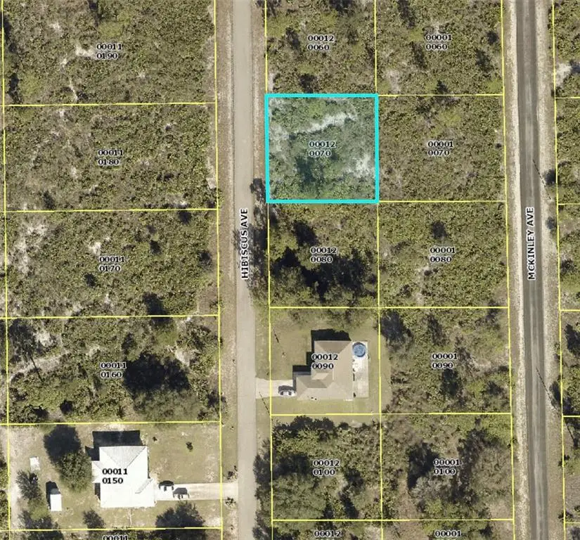 1610 Hibiscus Avenue, Lehigh Acres, FL 33972 - Image #1