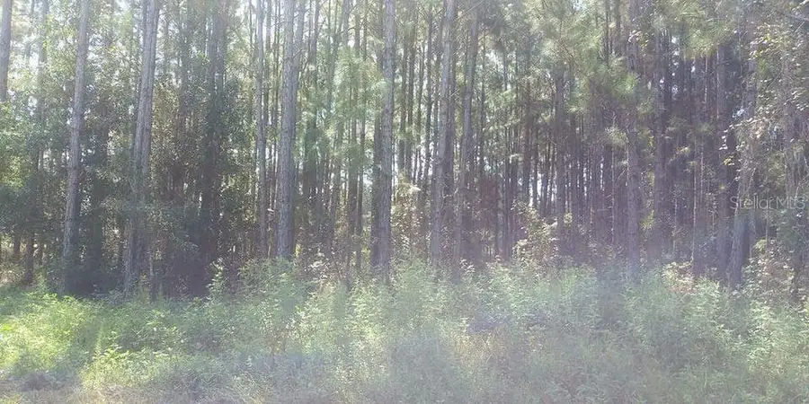 Commonwealth Avenue N, Polk City, FL 33868 - Image #2