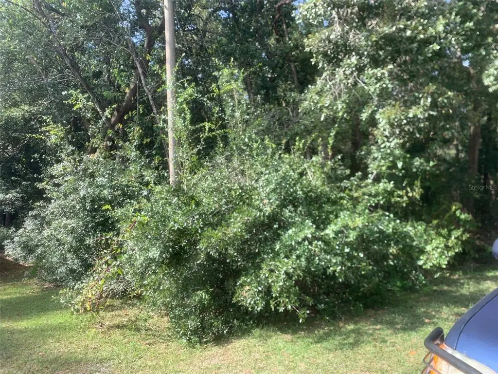 1370 Homosassa Drive, Poinciana, FL 34759 - Image #1