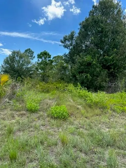 230 Columbus Boulevard, Lehigh Acres, FL 33974 - Image #3