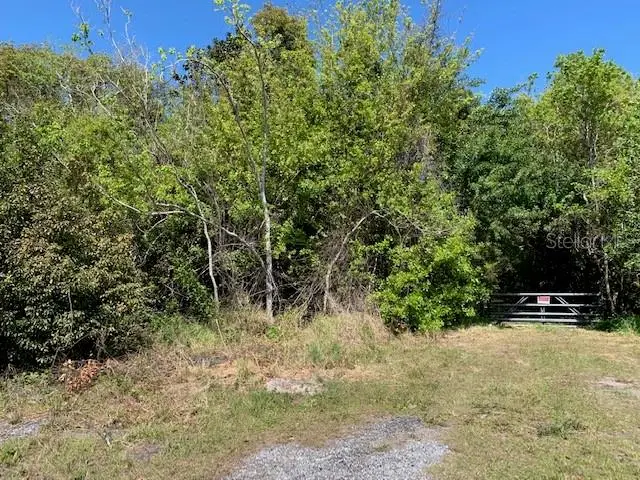 1290 Cinder Lane, Kissimmee, FL 34744 - #3