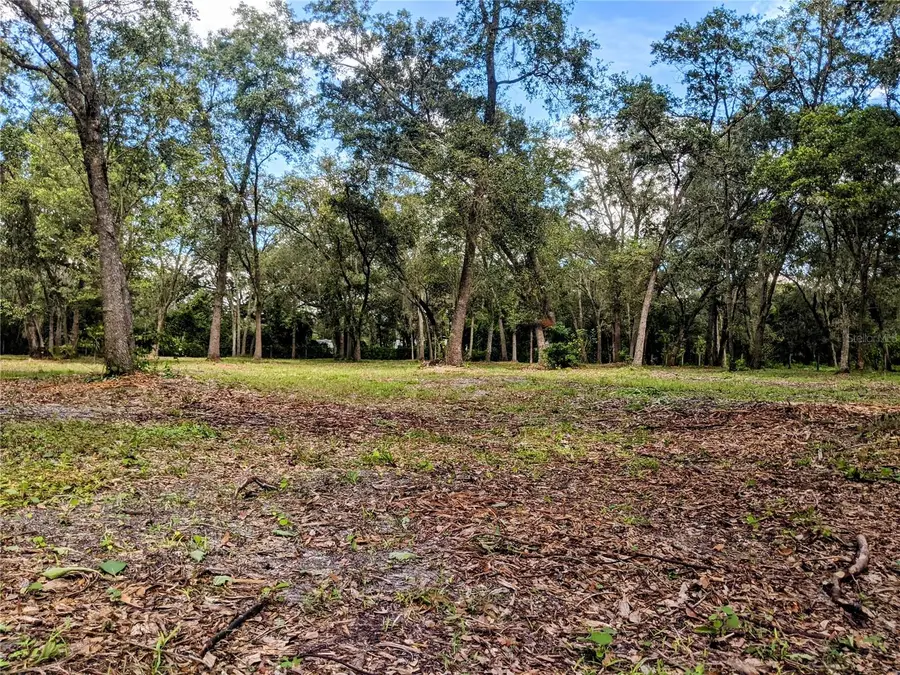 2915 Wagon Court, Saint Cloud, FL 34772 - #2