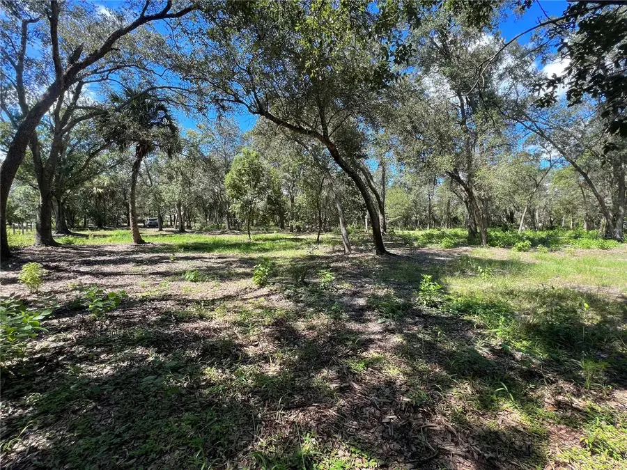 2915 Wagon Court, Saint Cloud, FL 34772 - #3