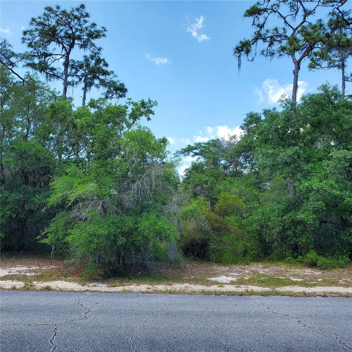 1345 St Augustine Court, Poinciana, FL 34759 - Image #1