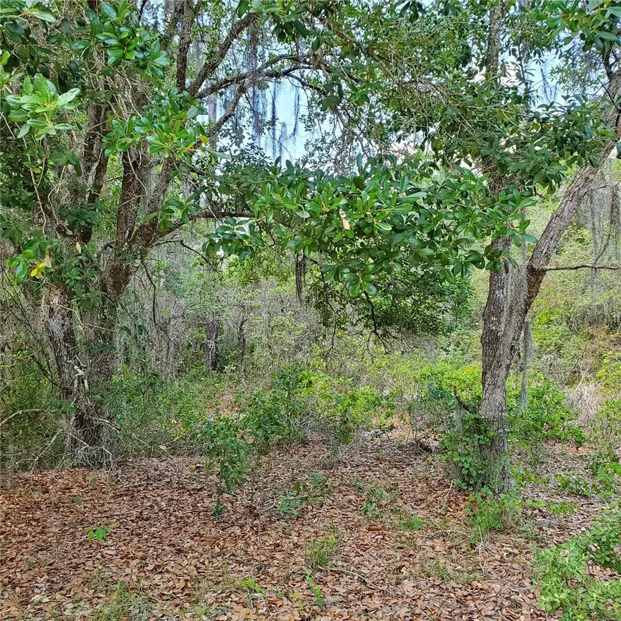 1345 St Augustine Court, Poinciana, FL 34759 - Image #2