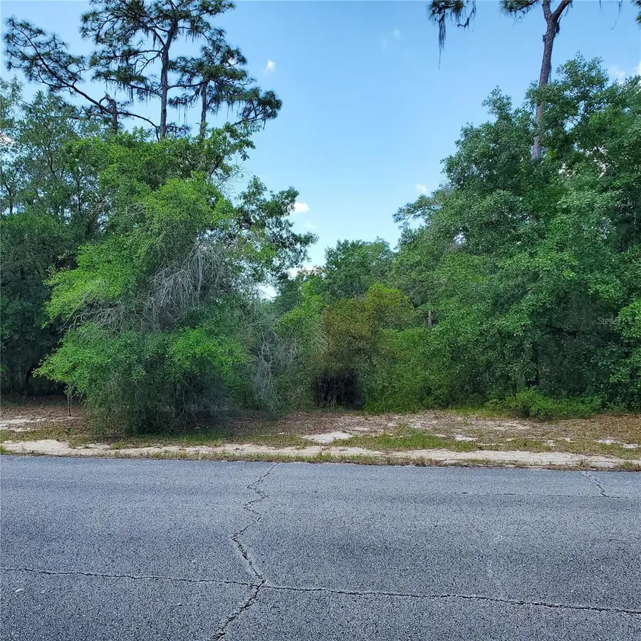 1345 St Augustine Court, Poinciana, FL 34759 - Image #3