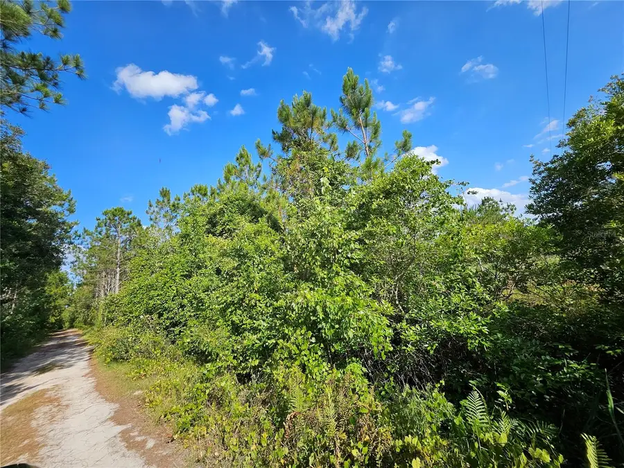 Sr-33, Clermont, FL 34714 - Image #3