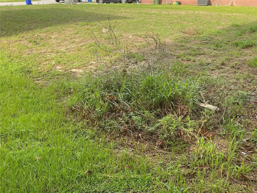 1304 Salisbury Drive, Winter Haven, FL 33881 - Image #3