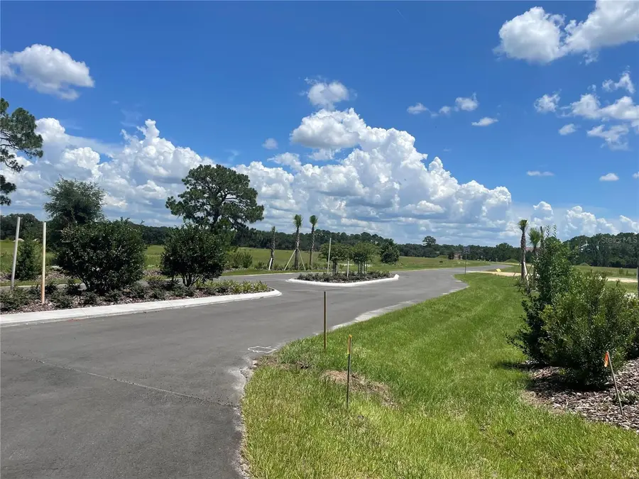 38529 Wooded Meadow Drive, Umatilla, FL 32784 - Image #2