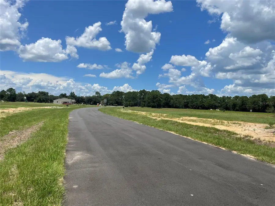 38529 Wooded Meadow Drive, Umatilla, FL 32784 - Image #3