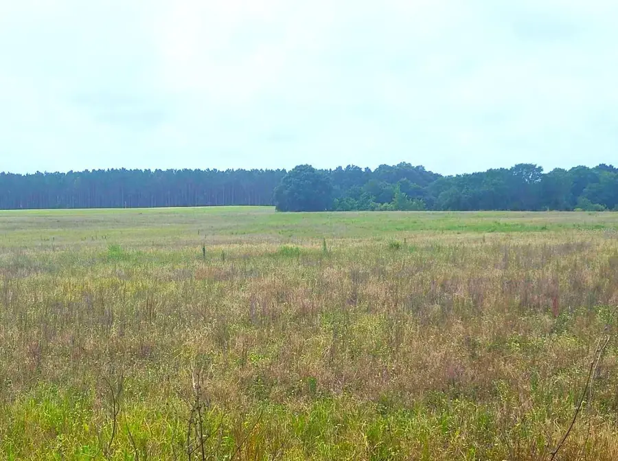0 Sr-33/pine Island Rd., Groveland, FL 34736 - Image #3