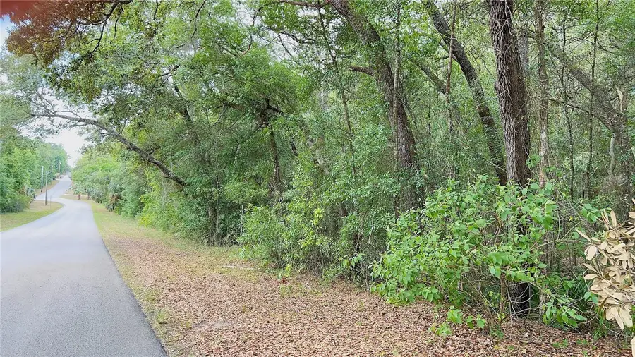 8 S Bauer Road, Lecanto, FL 34461 - #3